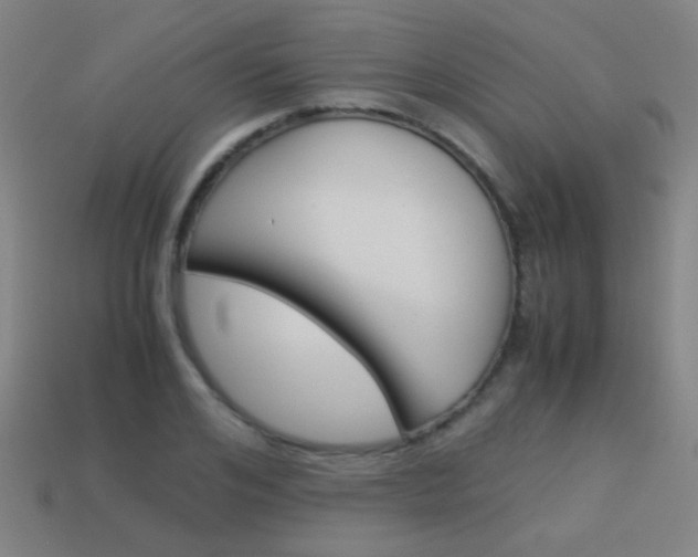 X0000114150984200910081109