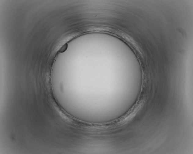 X0000114150985200910081109