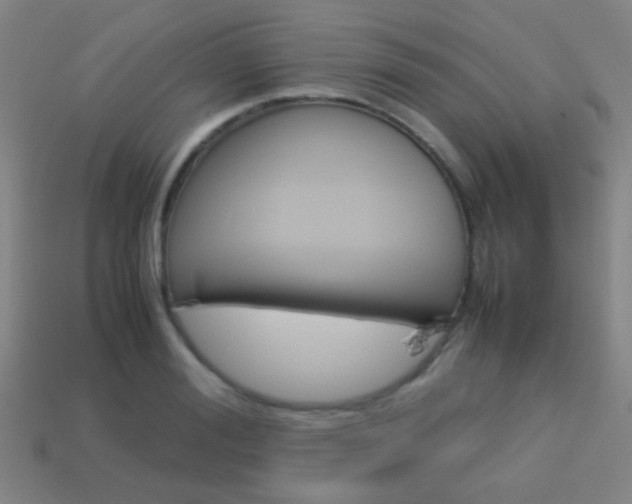 X0000114150988200910081109