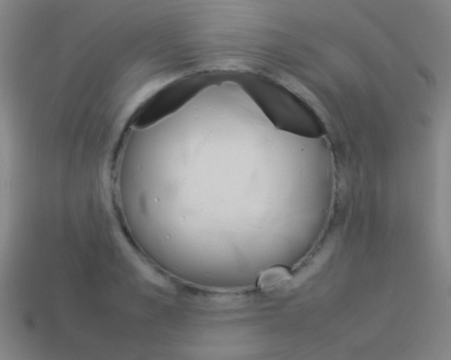 X0000114150989200910081109