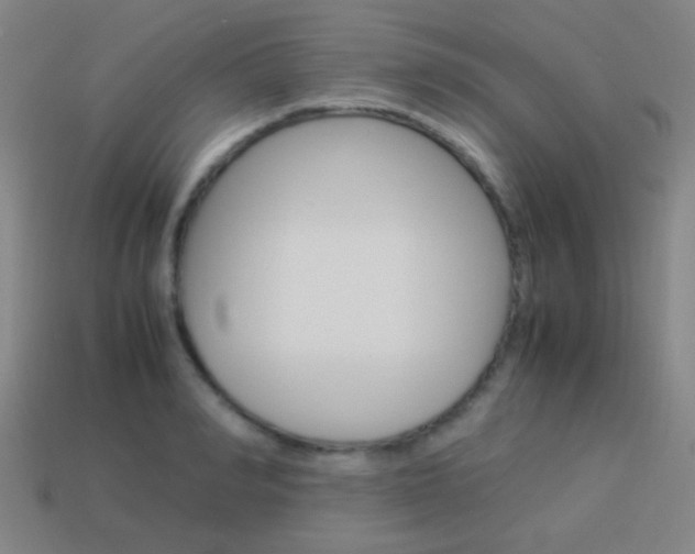 X0000114150990200910081109