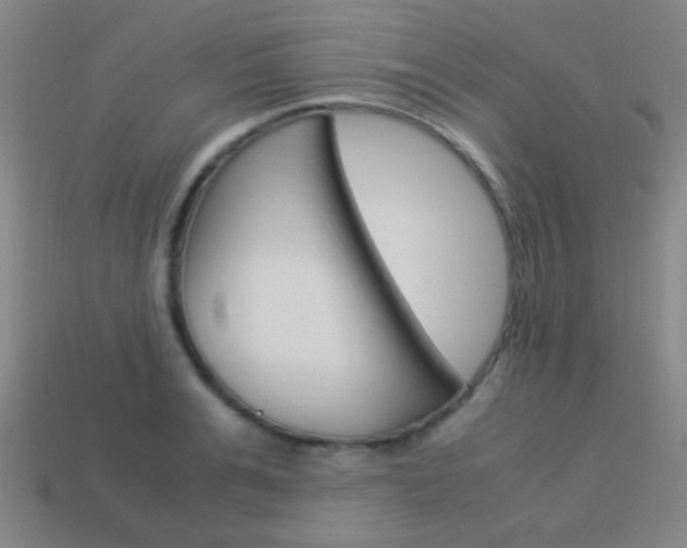 X0000114150991200910081109
