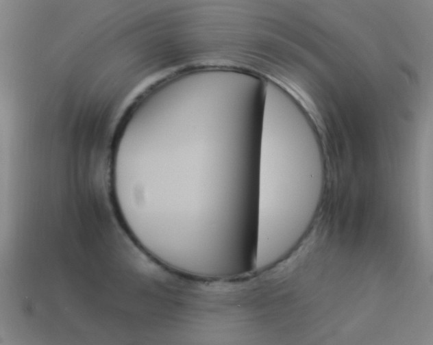 X0000114150992200910081109