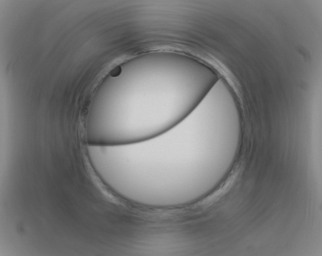 X0000114150993200910081109