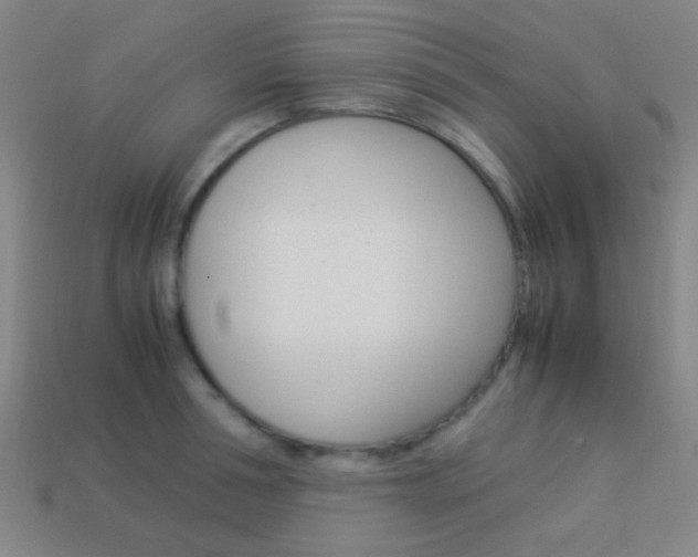 X0000114150994200910081109