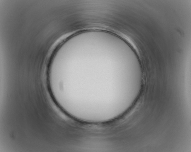 X0000114150995200910081109