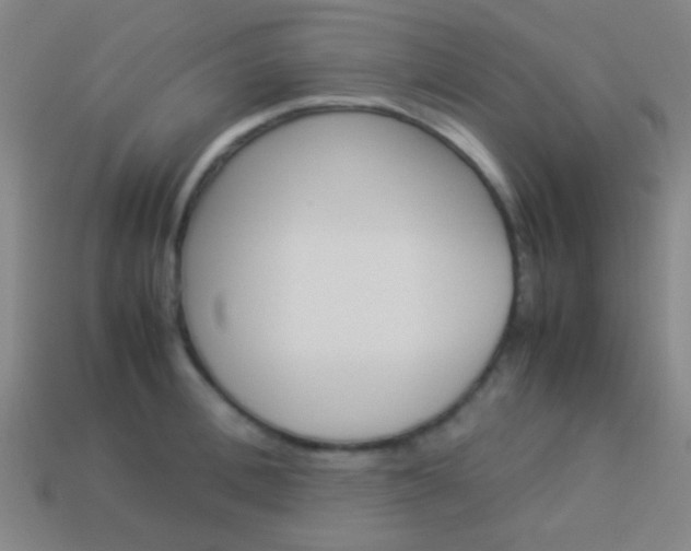 X0000114150996200910081109