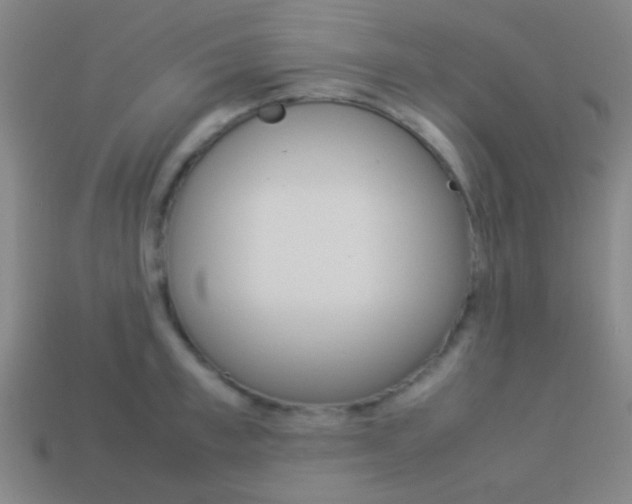 X0000114150997200910081109