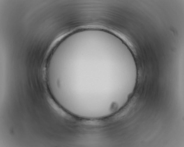 X0000114150998200910081109