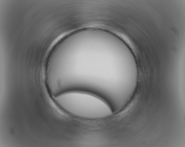 X0000114150999200910081109