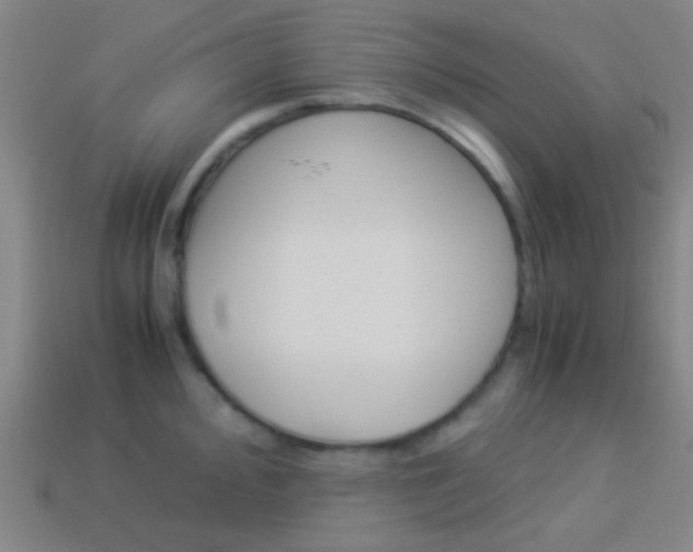 X0000114151000200910081109