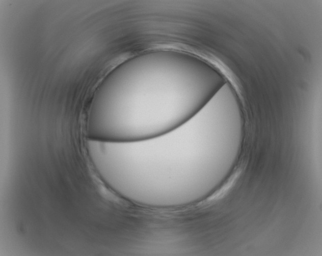 X0000114151001200910081109