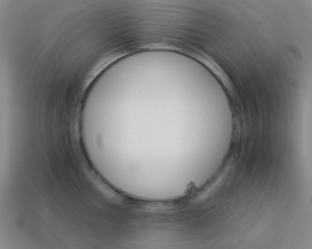 X0000114151002200910081109