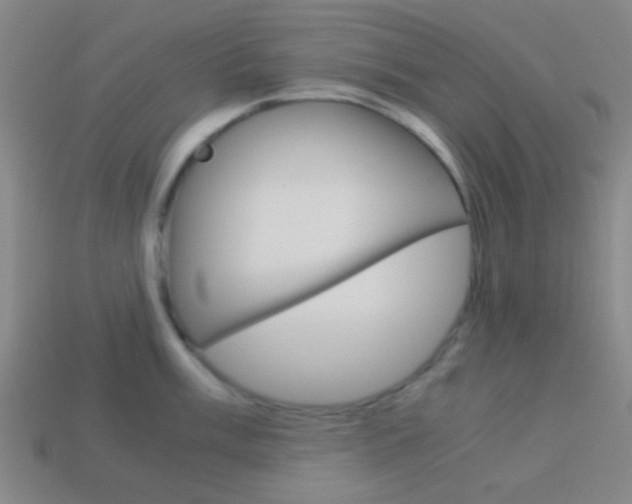 X0000114151003200910081109
