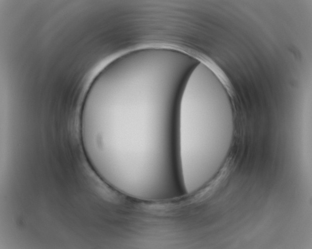 X0000114151004200910081109