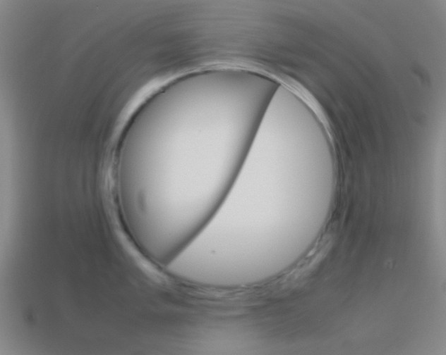 X0000114151005200910081109