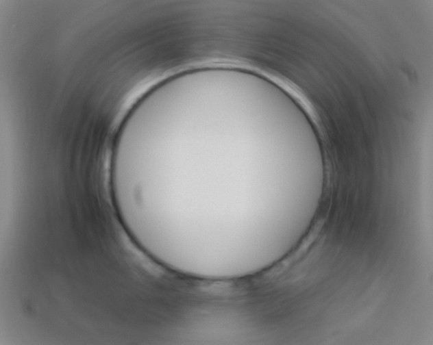 X0000114151006200910081109