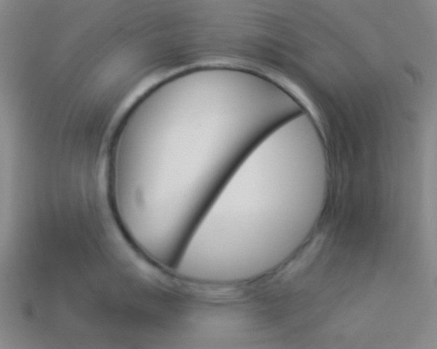 X0000114151007200910081109