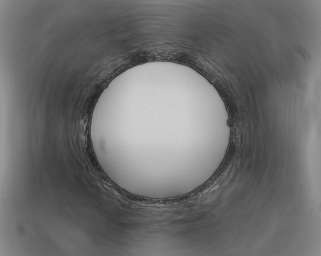X0000114151010200910081108