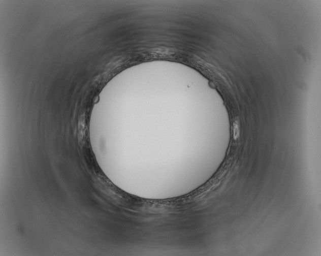 X0000114151011200910081108