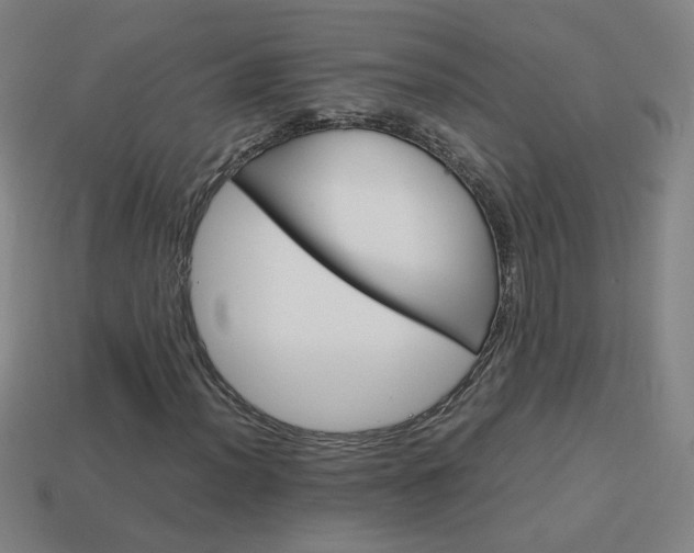 X0000114151012200910081108