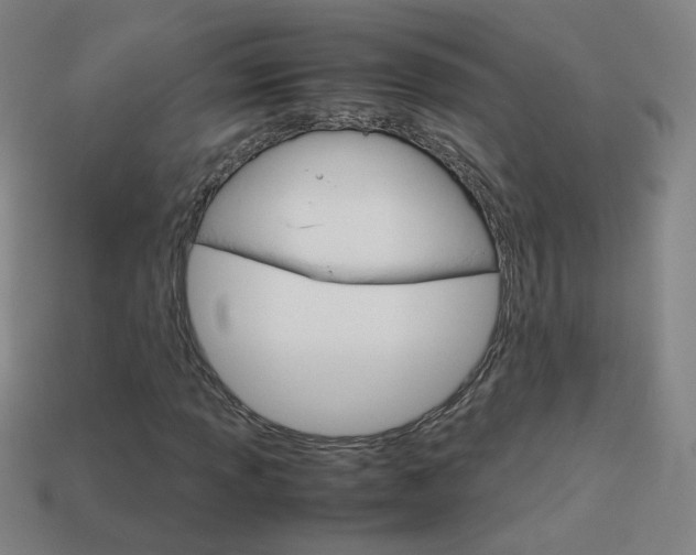 X0000114151013200910081108