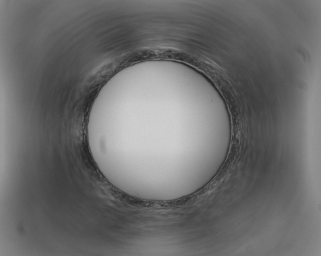 X0000114151014200910081108
