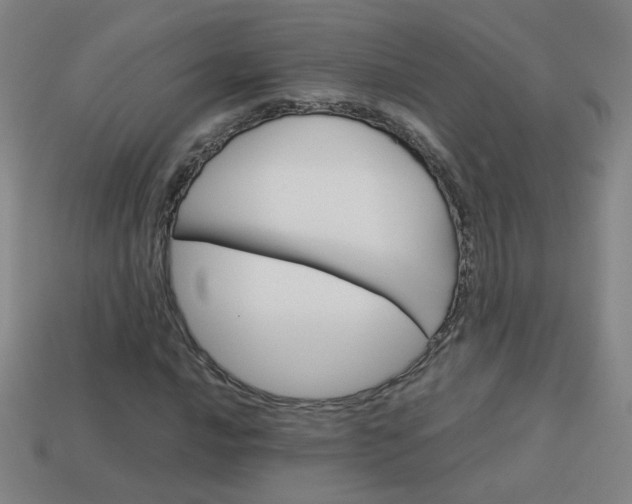 X0000114151016200910081108