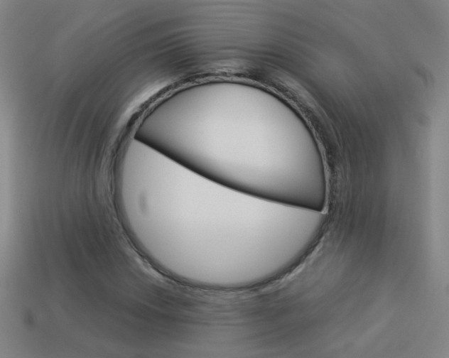 X0000114151018200910081108