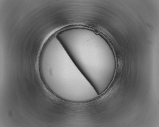 X0000114151020200910081108