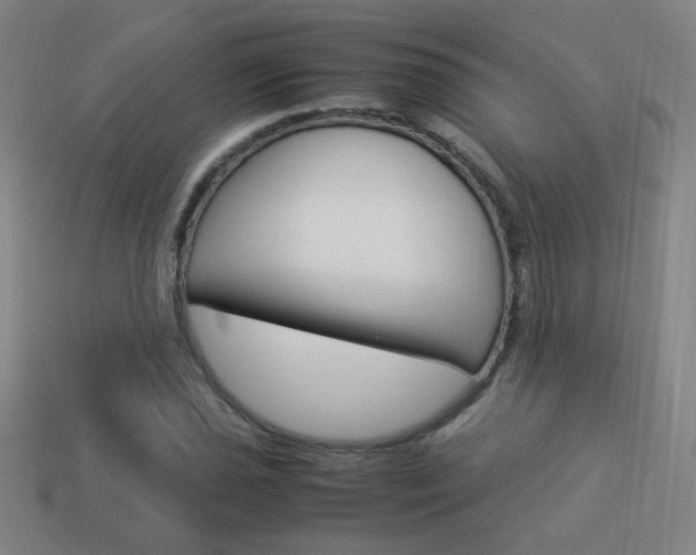 X0000114151021200910081108