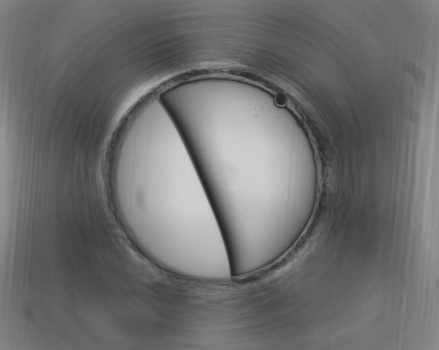 X0000114151022200910081108