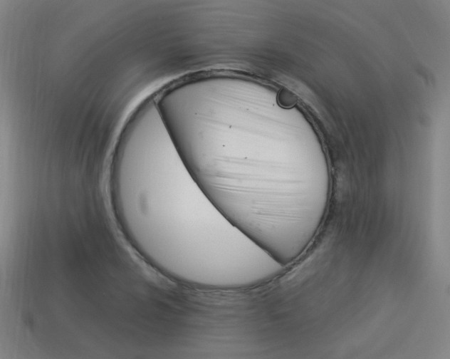 X0000114151024200910081108