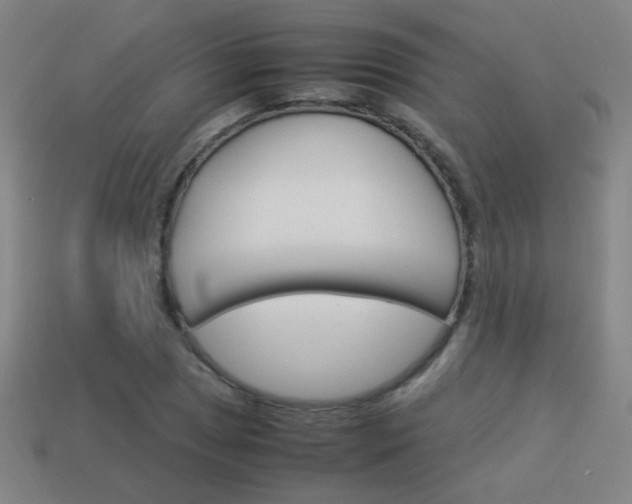 X0000114151025200910081108