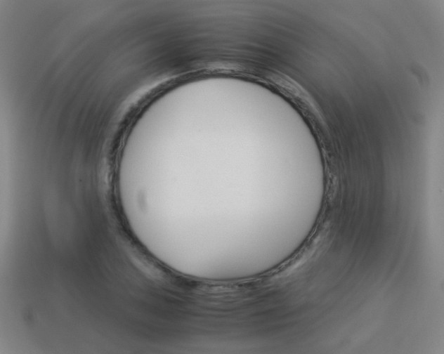 X0000114151027200910081108