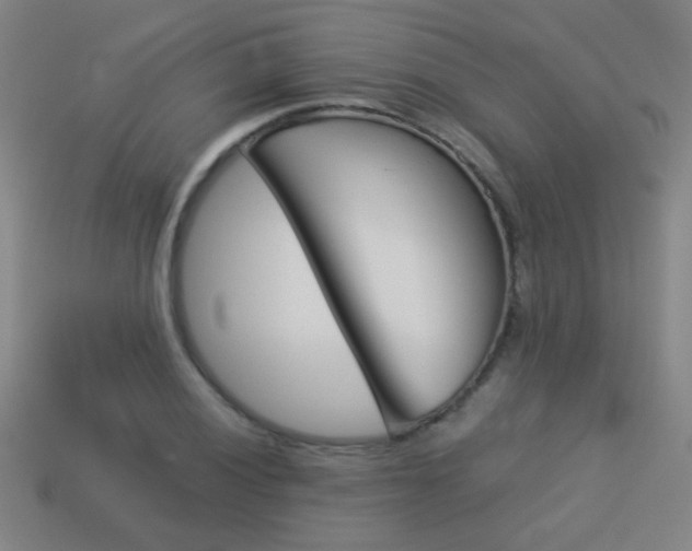 X0000114151028200910081108