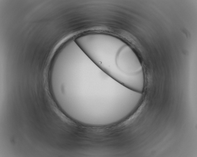 X0000114151029200910081108