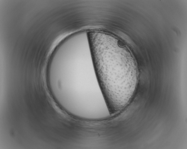 X0000114151030200910081108