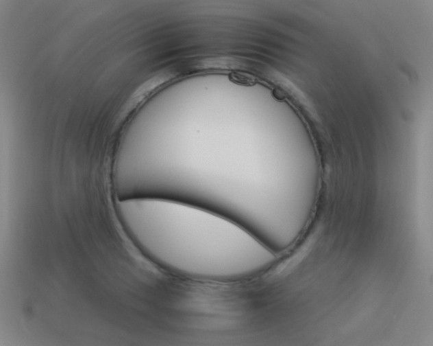 X0000114151033200910081108