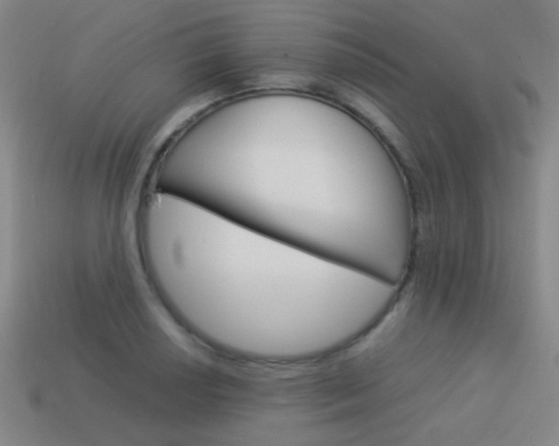 X0000114151034200910081108