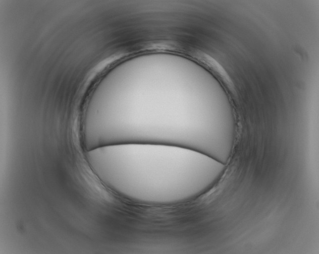 X0000114151035200910081108