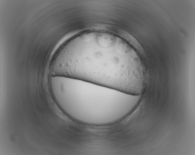 X0000114151036200910081108