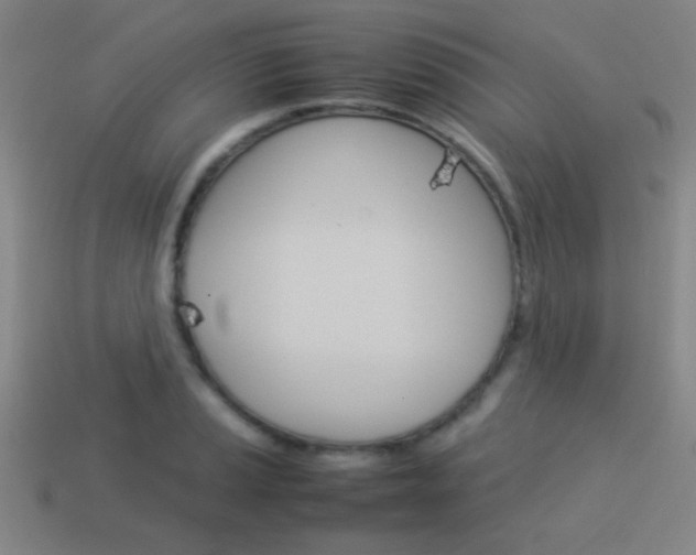 X0000114151037200910081108