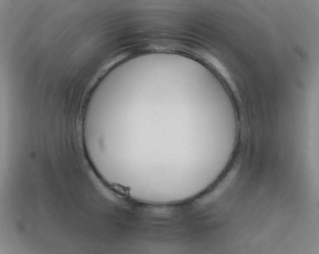 X0000114151041200910081108