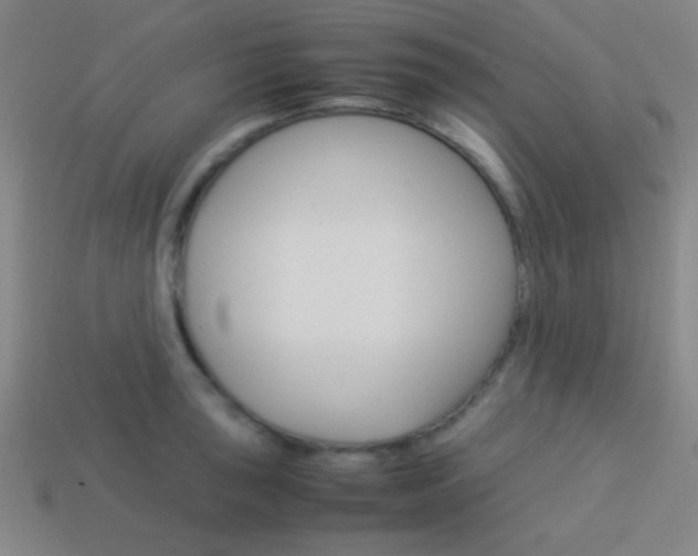 X0000114151043200910081108