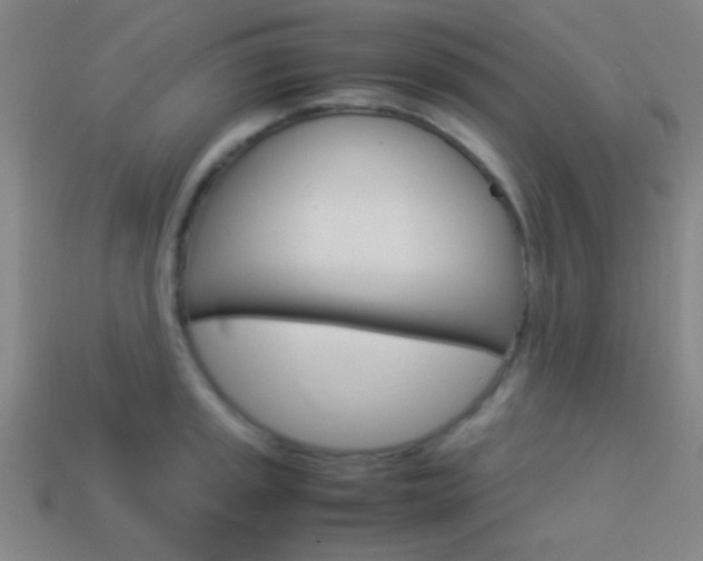 X0000114151045200910081108