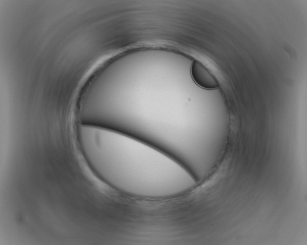 X0000114151046200910081108