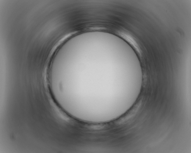 X0000114151047200910081108