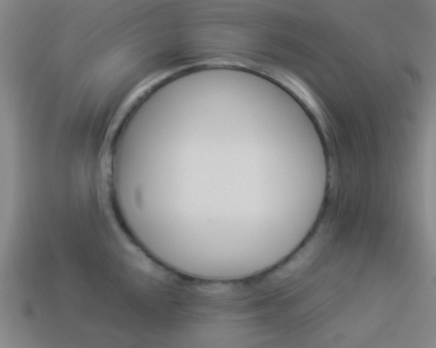 X0000114151048200910081108
