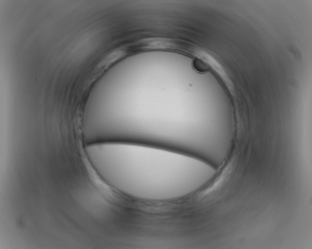 X0000114151049200910081108